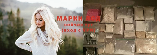 PSILOCYBIN Белокуриха
