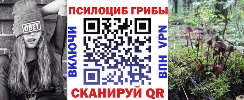 Галлюциногенные грибы прущие грибы  Боровск 